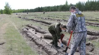 Первый «Сад памяти» появился в Омской области