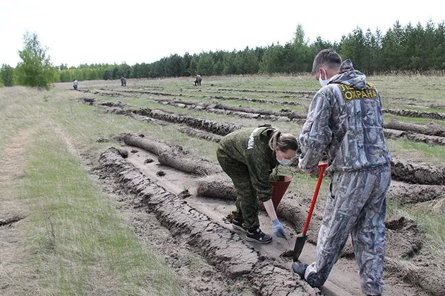 Первый «Сад памяти» появился в Омской области