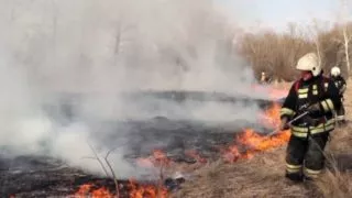 Нарушителям противопожарного режима придётся заплатить 12 миллионов рублей штрафа