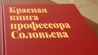 «Красная книга профессора Соловьева», «Птицы зимой»