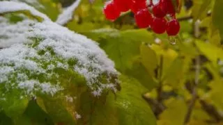 Синоптики предупредили омичей о похолодании и мокром снеге