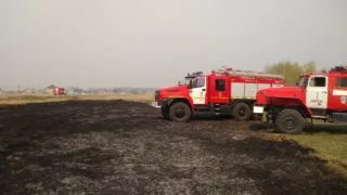 В Омском районе у села Ребровка загорелась сухая трава