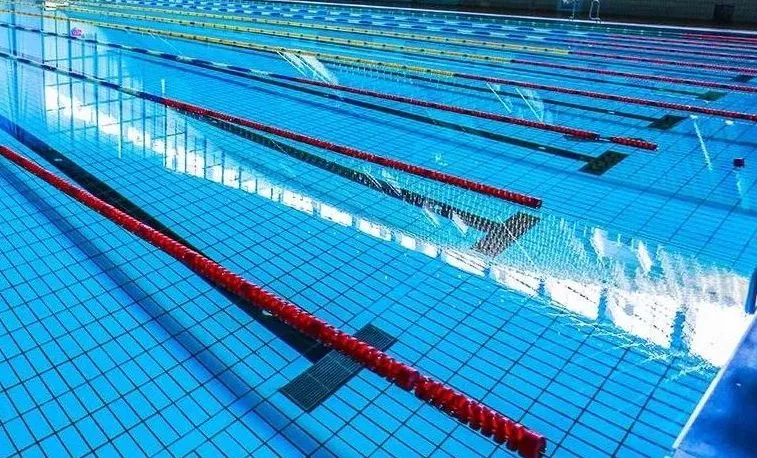 Омские пловцы выиграли золото  на Чемпионате Сибири