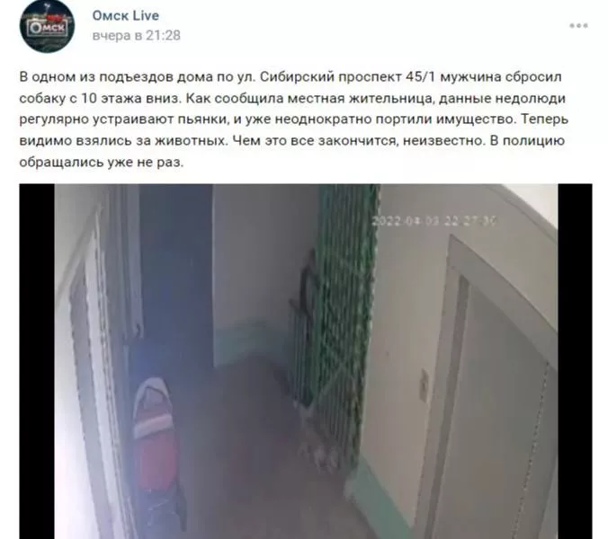 Омича, сбросившего собаку с 10 этажа, могут привлечь к уголовной ответственности