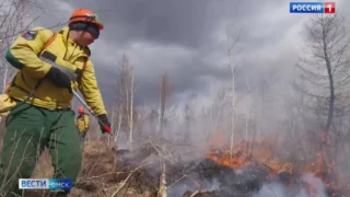 В 26 районах Омской области и Омске введен особый противопожарный режим