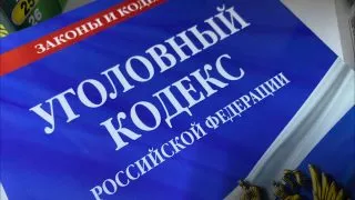 Жителю Омской области дали 1,4 года тюрьмы за убийство соседской собаки