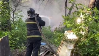 Омичи подожгли мусор после пикника, огонь чуть не уничтожил лес