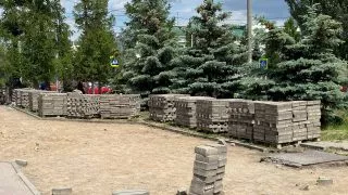 Омских студентов привлекут к крупнейшим стройкам региона