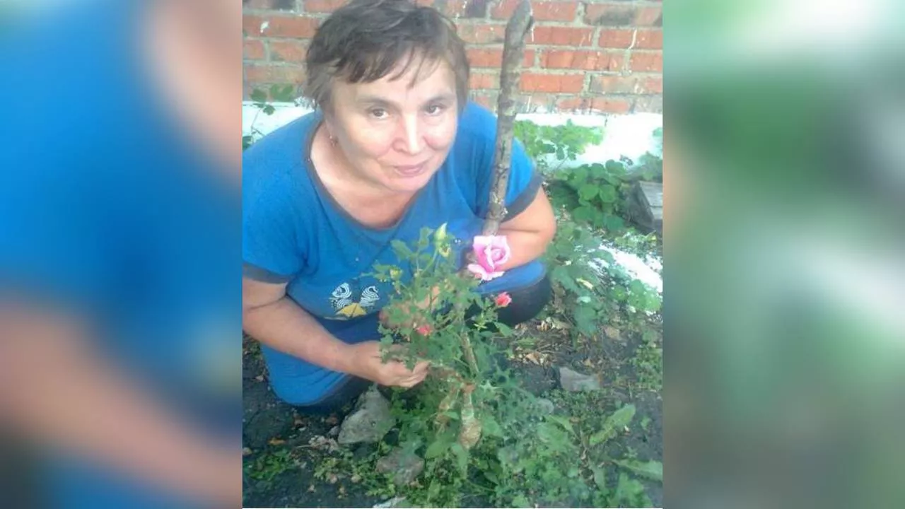 Полиция и волонтёры разыскивают в лесах омичку, которая ушла за грибами и не вернулась