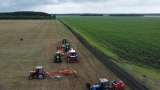 В Омской области планируют получить рекордный урожай зерновых — более трех млн тонн зернобобовых культур