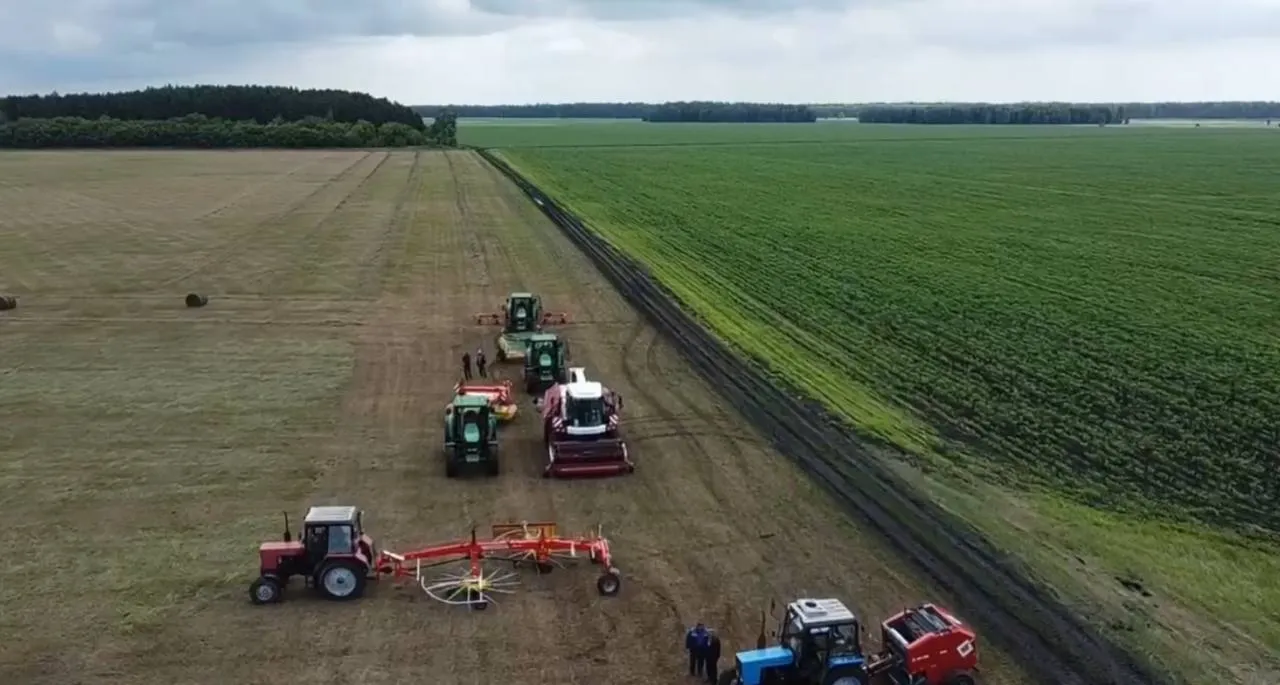 В Омской области планируют получить рекордный урожай зерновых — более трех млн тонн зернобобовых культур