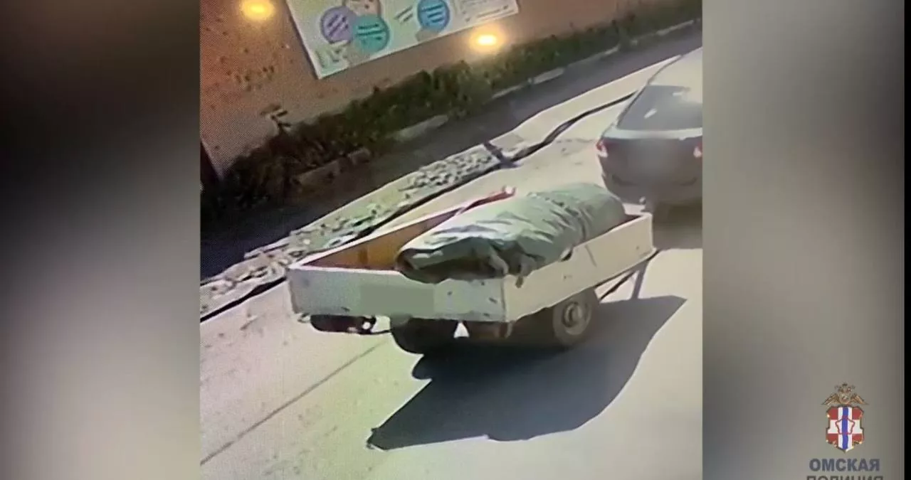 Омская полиция раскрыла кражу батута в Октябрьском округе