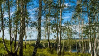 За последние две недели в Омской области не было зафиксировано ни одного пожара