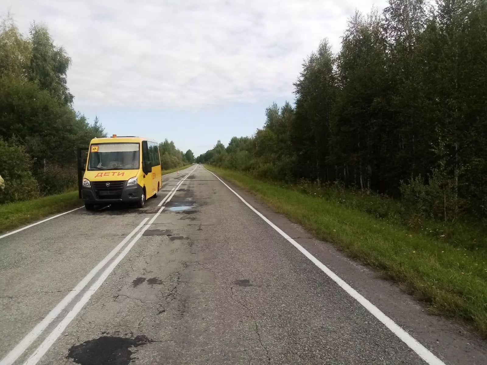 В Омской области школьный автобус столкнулся с косулей