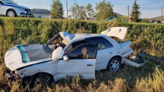 Пьяный водитель в Омской области едва не убил 19-летнего пассажира и его девушку