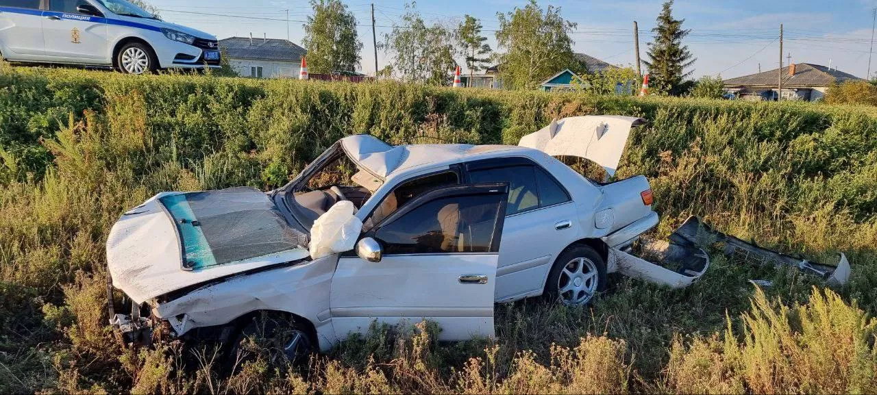 Пьяный водитель в Омской области едва не убил 19-летнего пассажира и его девушку