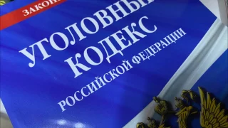 Житель Омской области на глазах у трёхлетней дочери убил котёнка и собаку