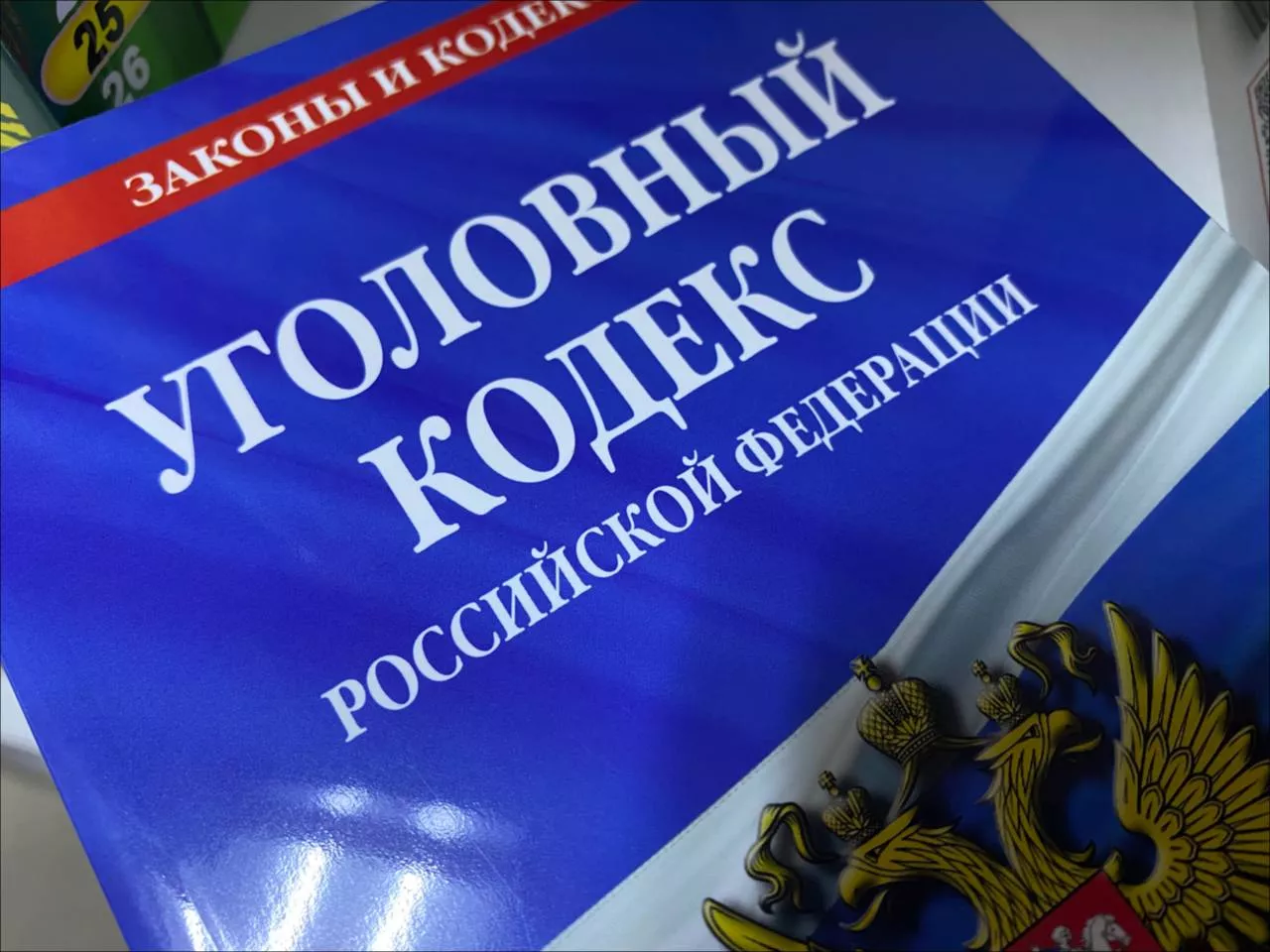 Житель Омской области на глазах у трёхлетней дочери убил котёнка и собаку