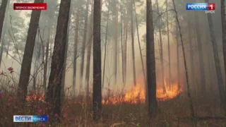 Количество пожаров в Омской области снизилось на 20%