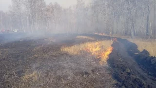 В Называевском районе введён режим повышенной готовности из-за пожаров