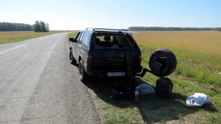 На 50-летнего омича завели уголовное дело за  незаконное убийство косуль