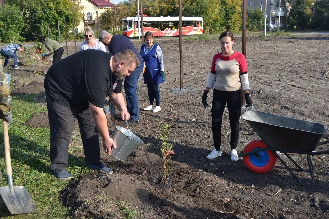 На территории Омского цирка высажен фруктово-ягодный сад