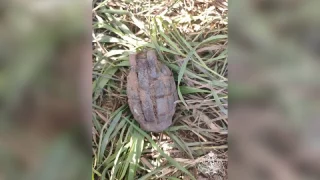 В Омской области обезвредили британскую гранату времён Второй Мировой войны