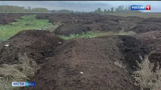 Нелегальную свалку с птичьим пометом обнаружили сотрудники Россельхознадзора в Омском районе