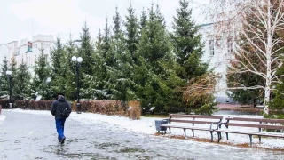 Синоптики предупредили омичей о метели, гололедице и усилении ветра