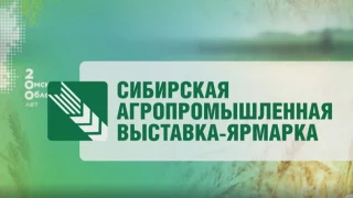 Традиционная выставка-ярмарка пройдёт у «Континента» в начале декабря