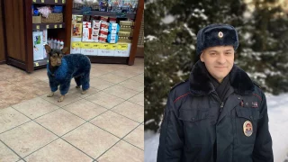 Омский полицейский отыскал хозяев породистой собаки 