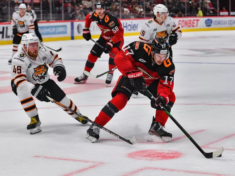 «Авангард» откроет заключительную домашнюю серию в этом году с матча с «Амуром»