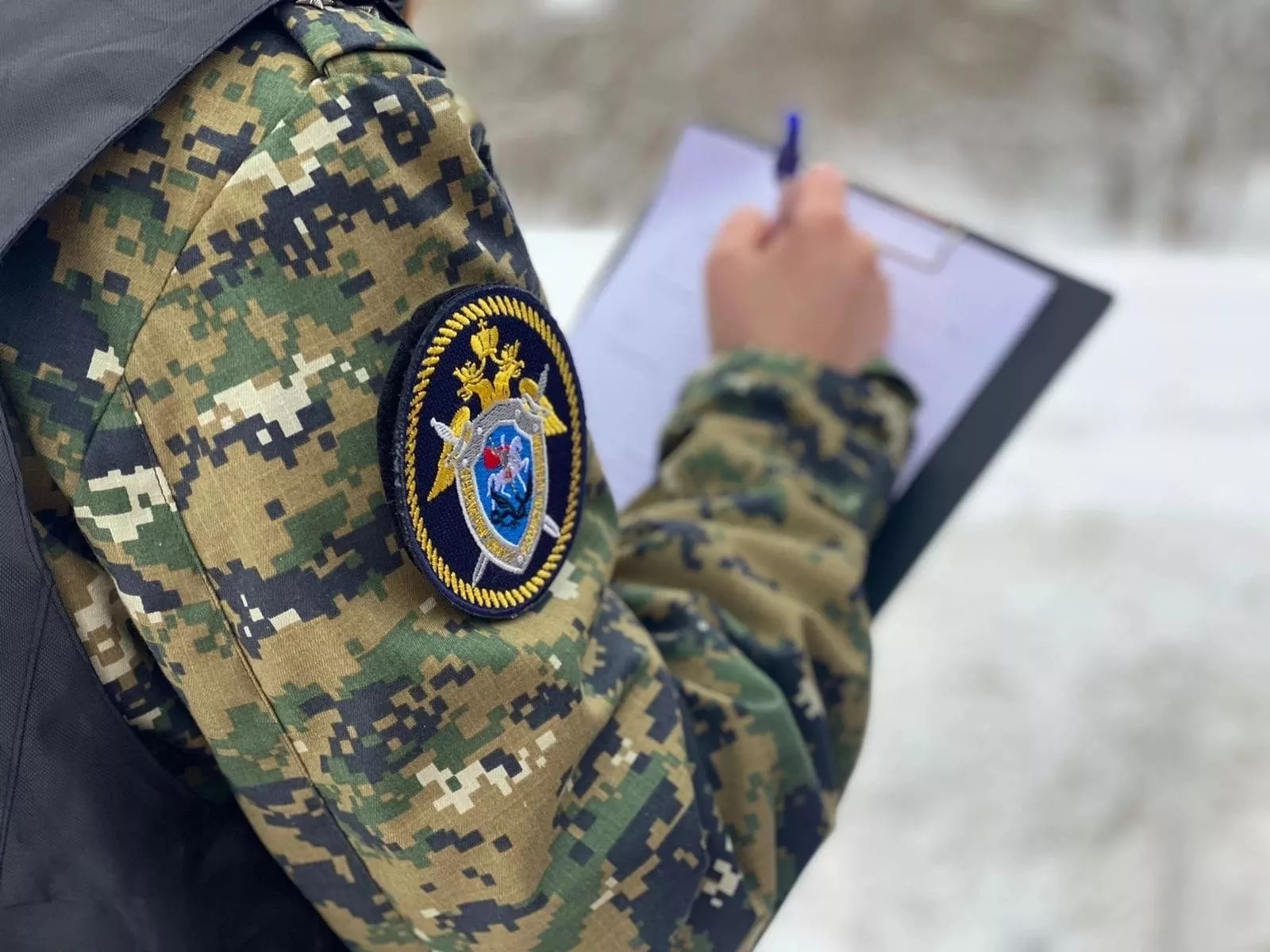 Завершено расследование дела в отношении брата и сестры из Тевриза, которые убили жестоко мужчину