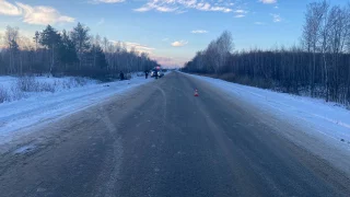 В Тюкалинском районе разыскивают водителя, который насмерть сбил пешехода