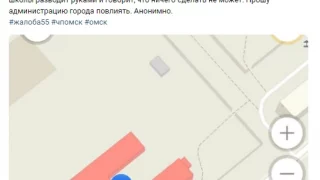 Омская полиция проверила данные из соцсетей о нападении бездомных собак на школьника