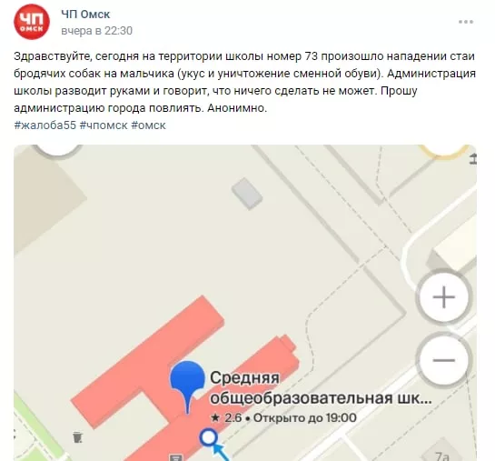 Омская полиция проверила данные из соцсетей о нападении бездомных собак на школьника