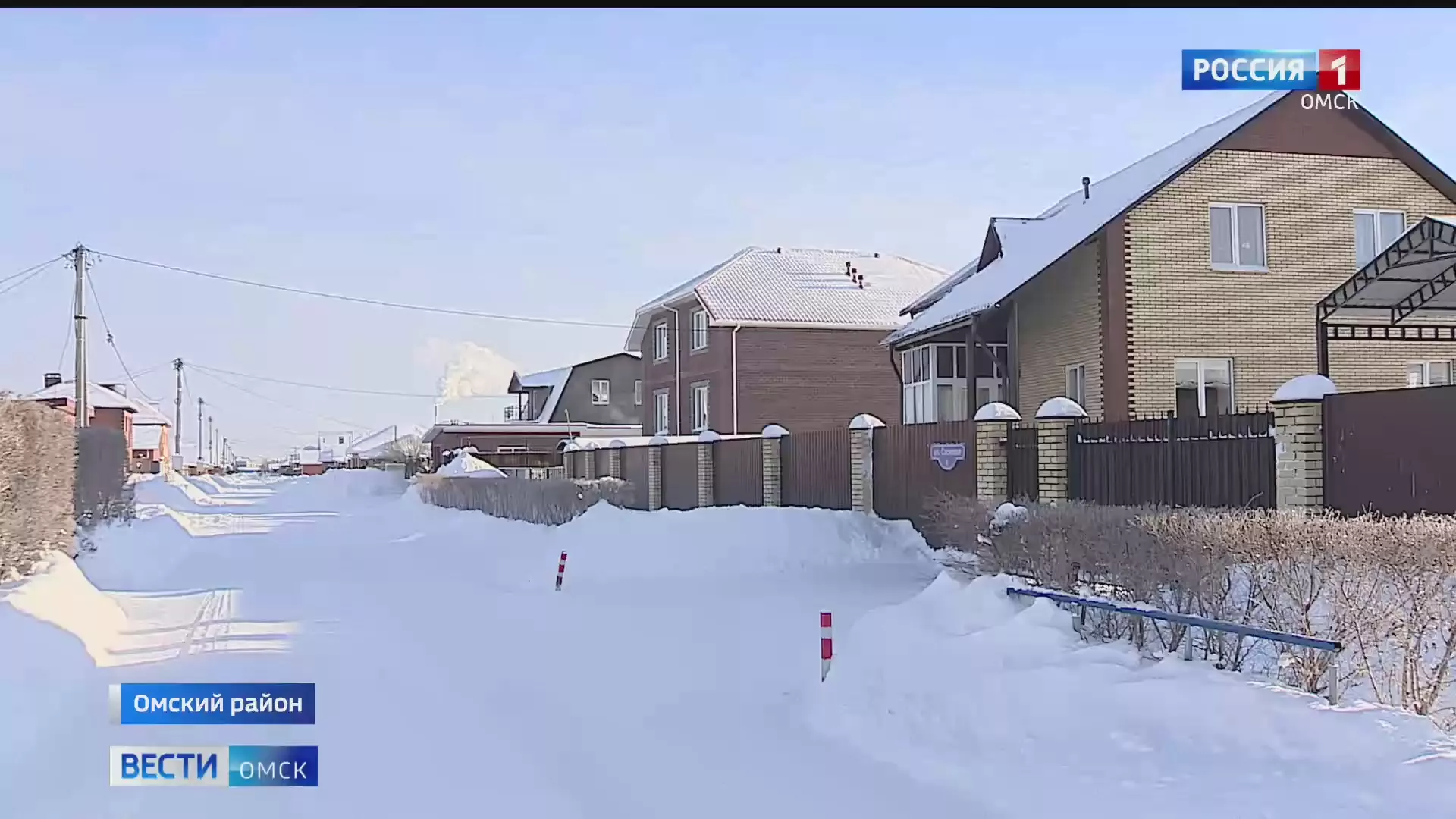 В Омском районе введён карантин из-за бешенства