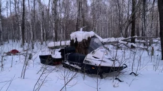 Житель Омского района незаконно застрелил спящего лося