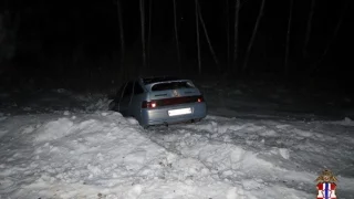 В Омской области двое юношей едва не замерзли в лесу после попытки угона автомобиля