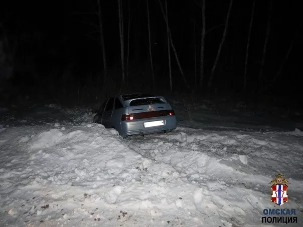 В Омской области двое юношей едва не замерзли в лесу после попытки угона автомобиля