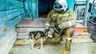 На участие в региональной премии «Народный герой» омичи подали почти 300 заявок