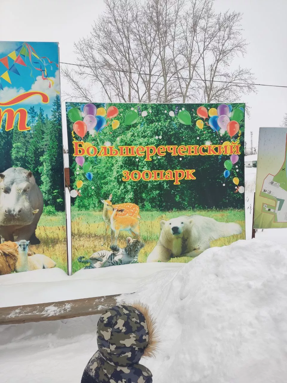«Новый день с Ларисой Белобородовой», эфир от 3 апреля 2023 года (обитатели Большереченского зоопарка)