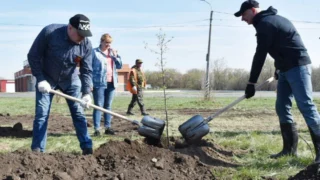 В Омске члены правительства и Сергей Шелест убрали территорию недалеко от Кадетского корпуса и посадили деревья