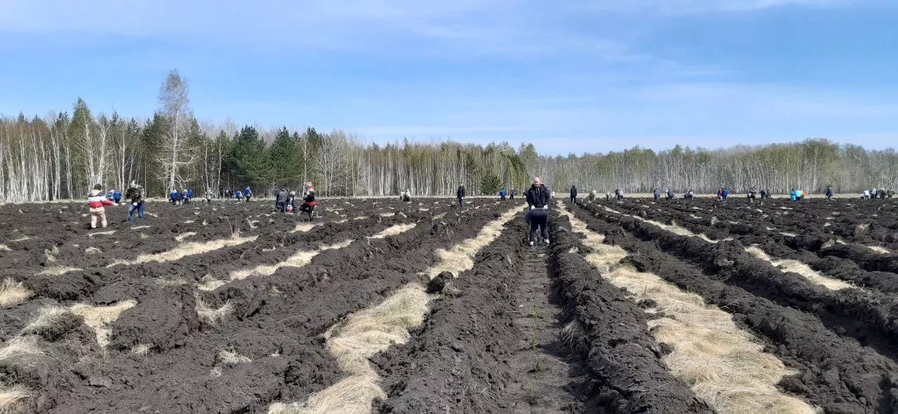 В Омском районе прошла самая массовая высадка Сада памяти