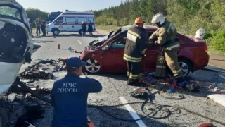 5 человек погибли в смертельной аварии на автодороге «Омск — Черлак»