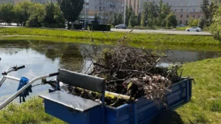 Работы по очищению водоема у Старозагородной рощи в Омске проводятся в ежедневном режиме