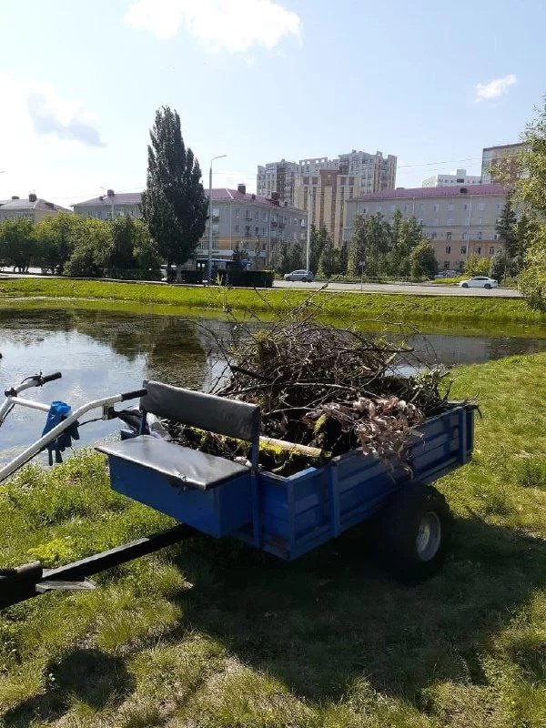 Работы по очищению водоема у Старозагородной рощи в Омске проводятся в ежедневном режиме
