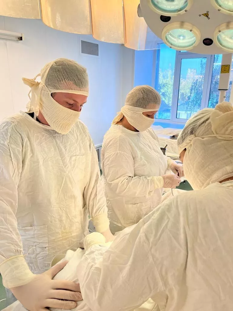 В Омске впервые за год родились тройняшки