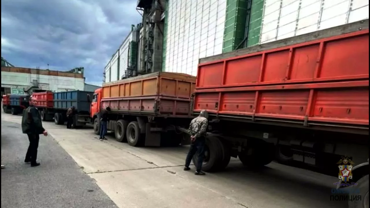 Бойцы Росгвардии и силовики спецназа «СОБР» задержали омичей, пытавшихся нажиться на зерне