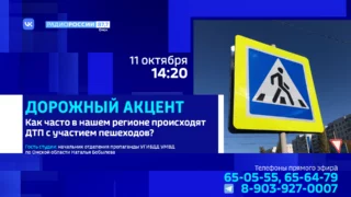 «Дорожный акцент», ДТП с пешеходами